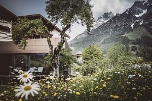 The 100 Best erklärt Ihnen, weshalb Sie die Alpenkulisse am Krallerhof unbedingt bestaunen sollten.
